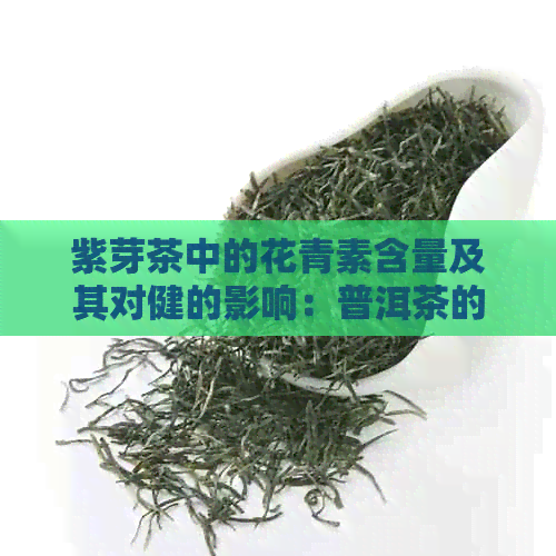 紫芽茶中的花青素含量及其对健的影响：普洱茶的另一面