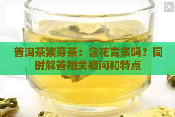 普洱茶紫芽茶：含花青素吗？同时解答相关疑问和特点