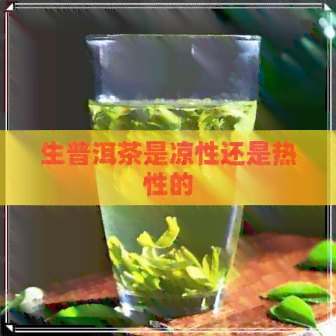 生普洱茶是凉性还是热性的