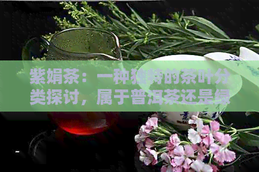 紫娟茶：一种独特的茶叶分类探讨，属于普洱茶还是绿茶？