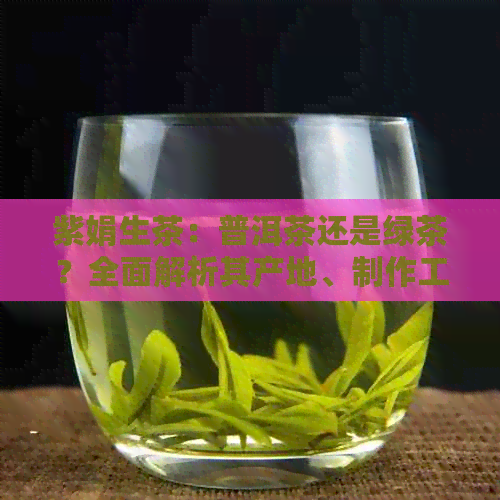 紫娟生茶：普洱茶还是绿茶？全面解析其产地、制作工艺和口感特点