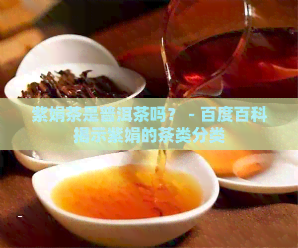 紫娟茶是普洱茶吗？ - 百度百科揭示紫娟的茶类分类