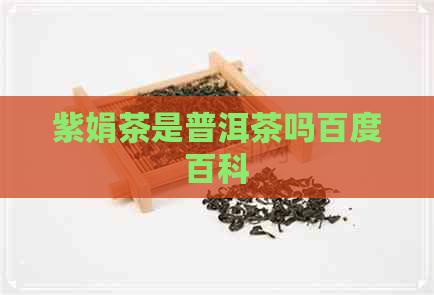 紫娟茶是普洱茶吗百度百科