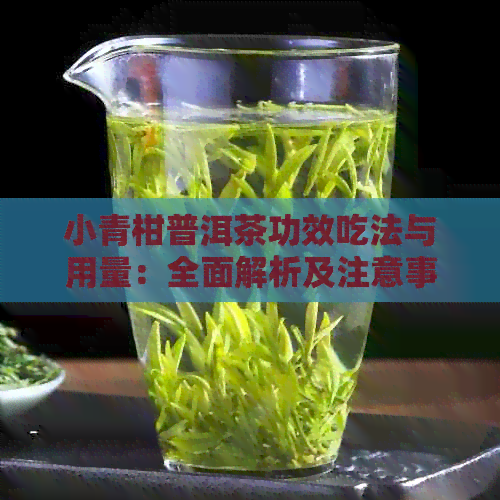 小青柑普洱茶功效吃法与用量：全面解析及注意事项