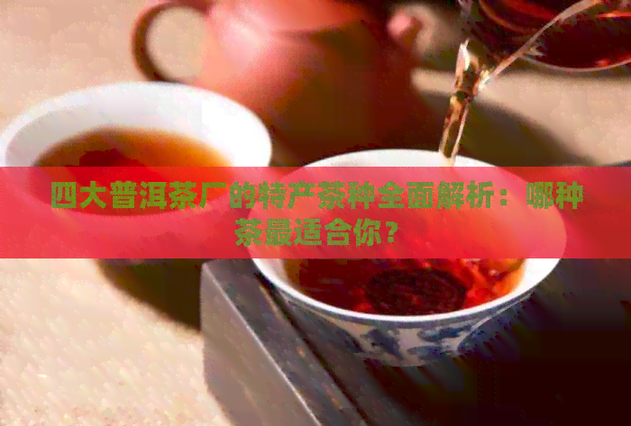 四大普洱茶厂的特产茶种全面解析：哪种茶最适合你？