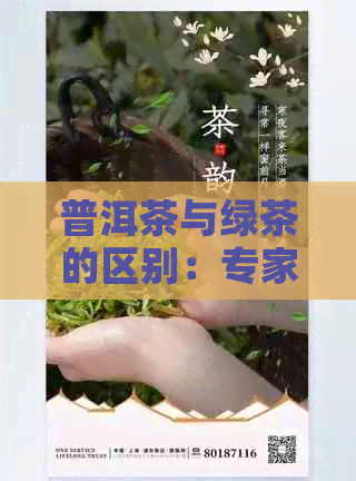 普洱茶与绿茶的区别：专家详解两者所属茶叶类别