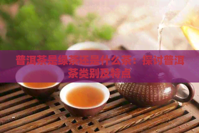 普洱茶是绿茶还是什么茶：探讨普洱茶类别及特点