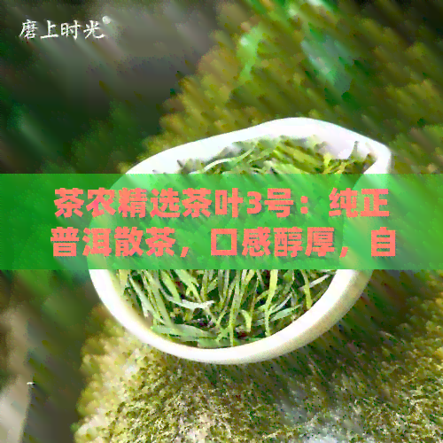 茶农精选茶叶3号：纯正普洱散茶，口感醇厚，自产自销报价实