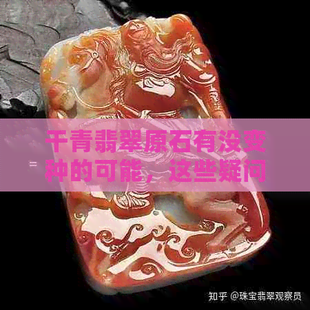 干青翡翠原石有没变种的可能，这些疑问都在这里解答！