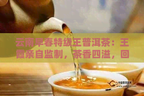 云南早春特级王普洱茶：王霞亲自监制，茶香四溢，回味无穷