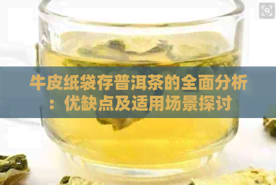 牛皮纸袋存普洱茶的全面分析：优缺点及适用场景探讨