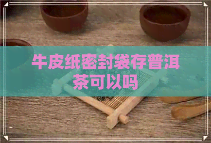 牛皮纸密封袋存普洱茶可以吗