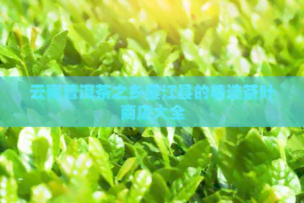 云南普洱茶之乡墨江县的精选茶叶商店大全