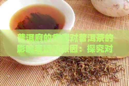 普洱府的瘟疫对普洱茶的影响表现及原因：探究对茶叶生产的影响