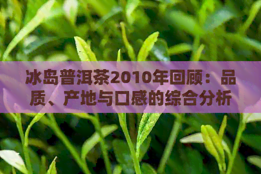 冰岛普洱茶2010年回顾：品质、产地与口感的综合分析