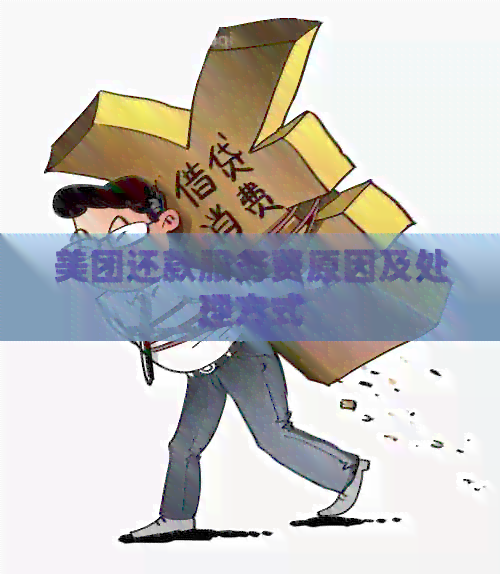 美团还款服务费原因及处理方式