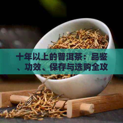 十年以上的普洱茶：品鉴、功效、保存与选购全攻略