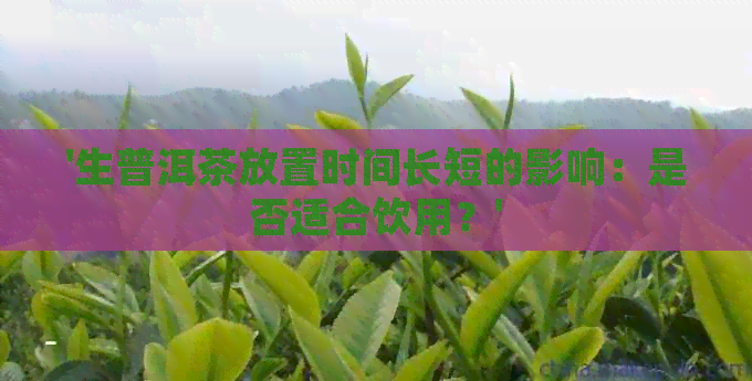 '生普洱茶放置时间长短的影响：是否适合饮用？'