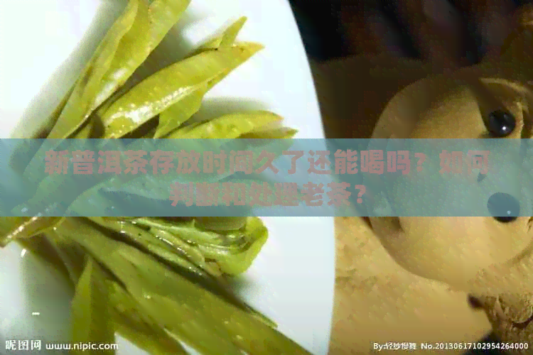 新普洱茶存放时间久了还能喝吗？如何判断和处理老茶？