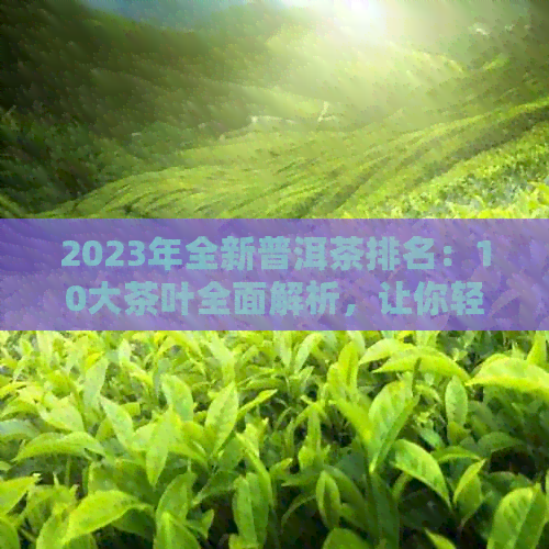 2023年全新普洱茶排名：10大茶叶全面解析，让你轻松选出普洱茶