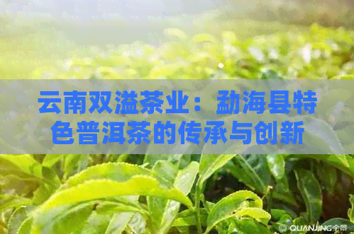 云南双溢茶业：勐海县特色普洱茶的传承与创新