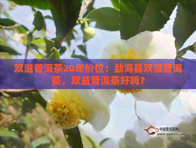 双溢普洱茶20年价位：勐海县双溢普洱茶，双益普洱茶好吗？