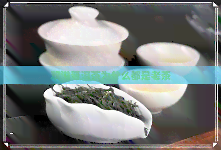 双溢普洱茶为什么都是老茶