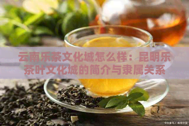 云南乐茶文化城怎么样：昆明乐茶叶文化城的简介与隶属关系