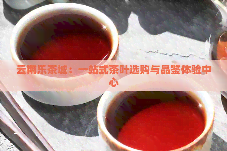 云南乐茶城：一站式茶叶选购与品鉴体验中心