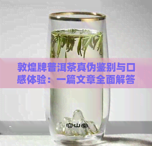 敦煌牌普洱茶真伪鉴别与口感体验：一篇文章全面解答您的疑问