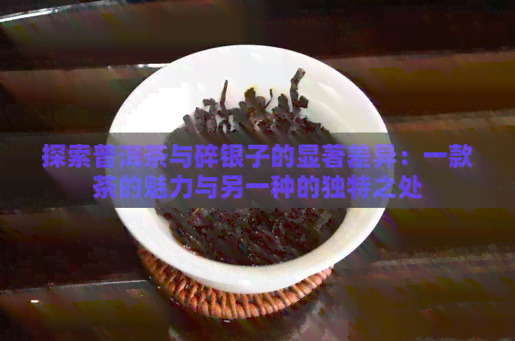 探索普洱茶与碎银子的显著差异：一款茶的魅力与另一种的独特之处