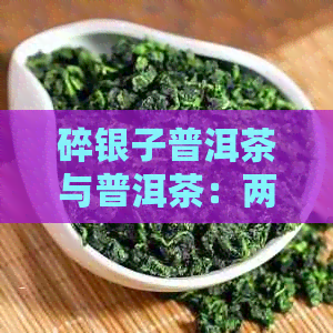 碎银子普洱茶与普洱茶：两者对比分析，帮助您选择更适合自己的好茶