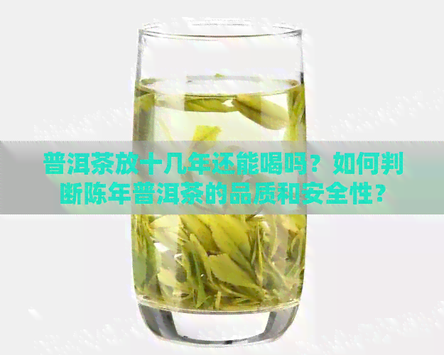 普洱茶放十几年还能喝吗？如何判断陈年普洱茶的品质和安全性？