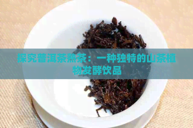 探究普洱茶熟茶：一种独特的山茶植物发酵饮品