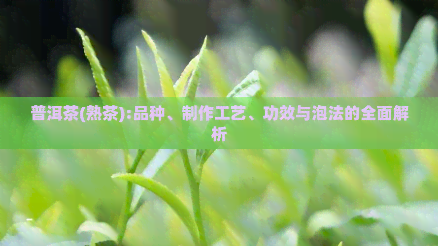 普洱茶(熟茶):品种、制作工艺、功效与泡法的全面解析