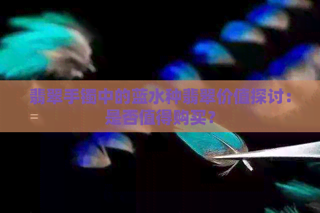 翡翠手镯中的蓝水种翡翠价值探讨：是否值得购买？