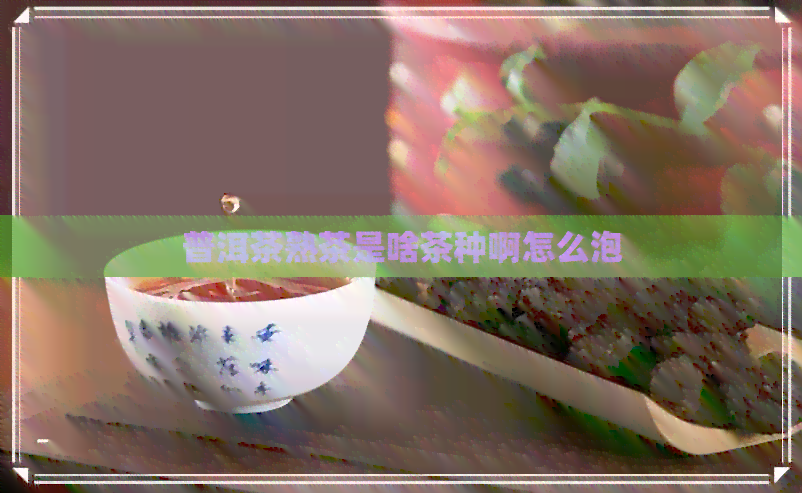 普洱茶熟茶是啥茶种啊怎么泡