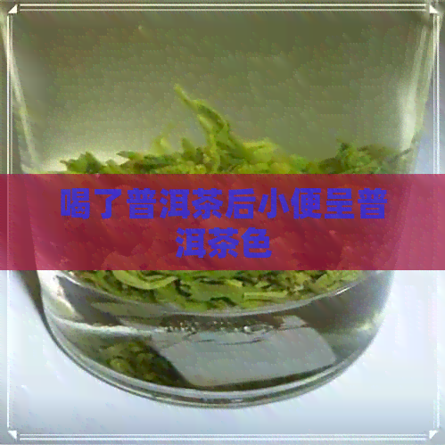 喝了普洱茶后小便呈普洱茶色