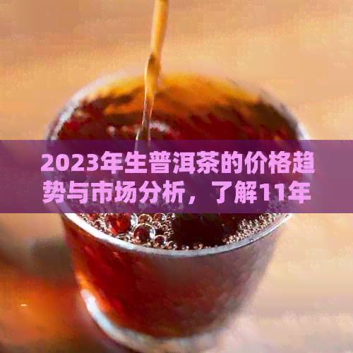 2023年生普洱茶的价格趋势与市场分析，了解11年的生普洱茶价值