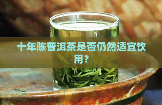 十年陈普洱茶是否仍然适宜饮用？