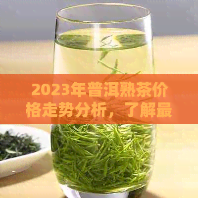 2023年普洱熟茶价格走势分析，了解最新市场行情及品鉴技巧