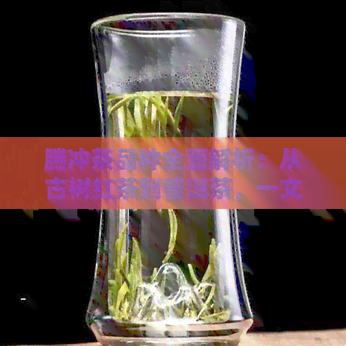 腾冲茶品种全面解析：从古树红茶到普洱茶，一文搞定腾冲茶叶分类与特色