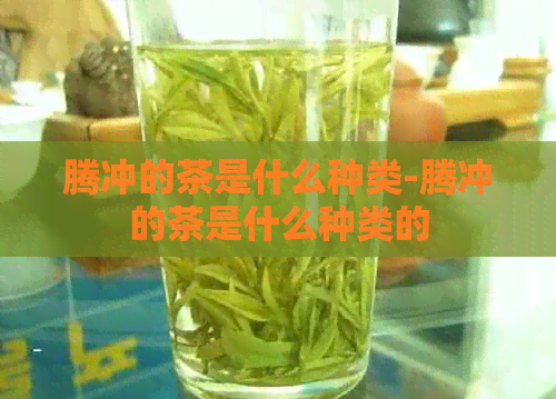 腾冲的茶是什么种类-腾冲的茶是什么种类的