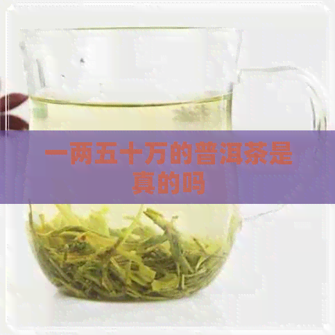 一两五十万的普洱茶是真的吗