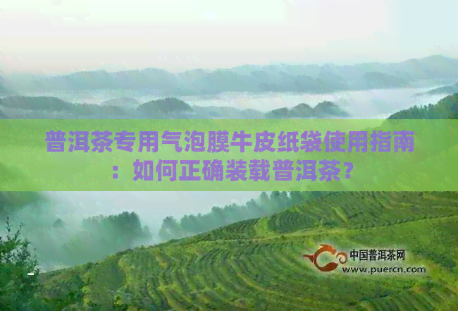 普洱茶专用气泡膜牛皮纸袋使用指南：如何正确装载普洱茶？