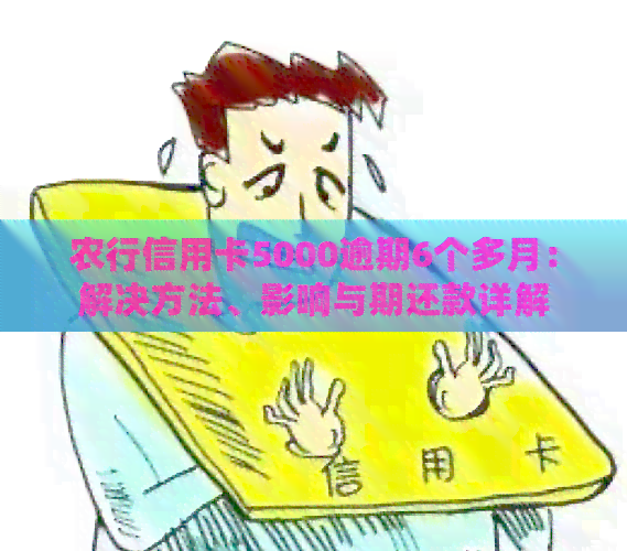 农行信用卡5000逾期6个多月：解决方法、影响与期还款详解