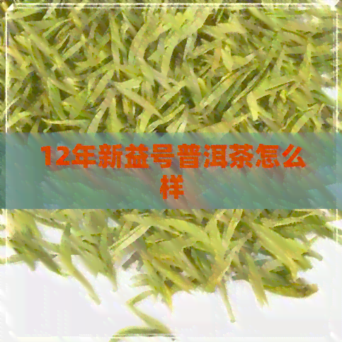 12年新益号普洱茶怎么样