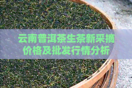 云南普洱茶生茶新采摘价格及批发行情分析