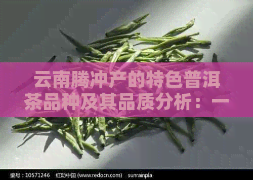 云南腾冲产的特色普洱茶品种及其品质分析：一场茶叶宴的品鉴指南