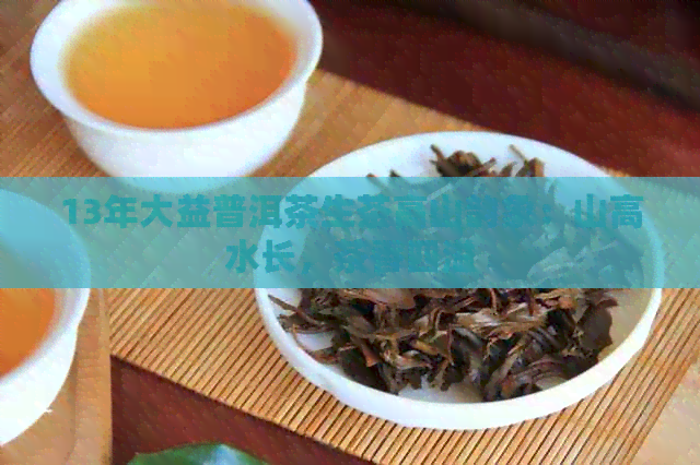 13年大益普洱茶生茶高山韵象：山高水长，茶香四溢